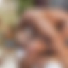 [LucasEntertainment.com] Manuel Skye And Isaac X Spit-Roast Jim Fit / LVP371-01 Huge And Brutal Manhood, scene 1 [2021 ., Anal, Bareback, Threesome, Group, DAP, Blowjob, Rimming, Muscles, Oral Cumshots, 720p] thumb