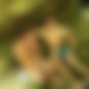 [AlexBoys.com] Waterfall (Austin, Cosimo) [2015 ., Blowjob, Masturbation, Teens, Oral, 720p] thumb