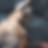 [DigitalPlayground.com] Eva Lovia (Eva Wants You / 18-02-2015) [2015 ., Sex in Car, Gonzo, Hardcore, All Sex, HDRip, 1080p] thumb