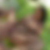 [PremiumPass.com / JulesJordan.com] Ava Addams - Ava Addams Amazing Tits, Breast Worship #3 [2011-11-15, Big Tits, Busty, Brunettes, Gonzo, Hardcore, All Sex, Straight, Big Cocks, Big Tits, Blowjobs, Deep Throat, Facial, MILF, 1080p, SiteRip] thumbnail