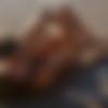 [Hegre.com] 27  / 2016-12 /  [Erotic, Solo, Posing, Sex] [ 64169316  870811608, 1272  + 27 ] thumb