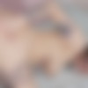 [TransDaylight.com] Melody Sin-Clair & Lilith Rae Fox / ALT BEAUTY MELODY SIN-CLAIR UNLOADS BIG CREAMPIE IN PUSSY [26.03.2025.,Shemale, Tranny, Shemale on Female, Oral, Hardcore, All Sex, Bareback, Cumshot, .. 1080p, SiteRip] thumb