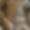 [ATKGirlfriends.com] Onyx (Las Vegas 3/3) [2014 ., Creampie, Oral, Blowjob, Footjob, Orgasm, Masturbation, POV, All Sex, 1080p] thumb