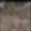 [TwistysHard.com / Twistys.com] Alaina Fox (Deep Blue Day/ 25.07.2015) [2015 ., All Sex, Blowjob, Cumshot, IR, Big Cock, 720p] thumb