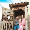 Dragoste la țară [2026] / 720p / WEB / H264 / EAC3 / Romanian / Subs / MKV / playWEB thumb