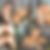 [SeanCody.com] SC-2404 Archie & Joey: Bareback [2018 ., Anal Sex, Bareback, Big Dick, Blowjob, Cumshots, Hairy, Kissing, Masturbation, Muscles., 720p] thumb