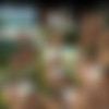 [GodsOfMen.com / Men.com] Sunkissed (Brent Everett, Luke Adams) [2015 ., Anal Sex, Blowjob, Deep Throat, Outdoors, Kissing, Rimming, Spitting, Tattoos, Jocks, Facial, Cumshots, 720p] thumb