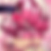 Crimson Keep 1-7 (Introspurt) [uncen] [2019 - 2021, RPG, Animation, Blowjob, Creampie, Deamon, Elf, Group, Kitsune, Monster Girl, Slime, Succubus, Titsjob, Virgin, X-Ray, Flash] [eng] thumbnail