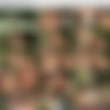 [WorldOfMen.com] Neil Stevens and Alex Cumming [2013 ., Anal Sex, Big Dick, Blowjob, Cumshots, Masturbation, Muscles, Outdoors, Rimming, Senior/Junior, Twink, Uncut., 720p] thumb