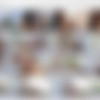 [WowPorn.com/ WowFandom.com] Paula Shy (Summer Fling / 19.11.13) [2013 ., All Sex] thumbnail