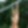 DOMAI.COM (2084 ,    J) thumbnail