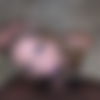 [OnlyFans.com] Girlnextdoorcassidy & TgirlPlayHouse 26.11.2025. [720p] thumbnail