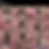 [DeliaCD.com / DeliaTS.com] Delia DeLions (178 ) [2004-2008 ., Shemale, Solo, Masturbation, CamRip] thumbnail