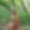 [goddessnudes.com]  - 2012-05 (23  + covers) thumbnail