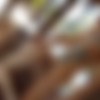 [AllInternal.com / PerfectGonzo.com] Betty Lynn ( 13142 / 25.01.15) [2015 ., all sex, cumshot creampie - multiple, 1080p] thumb