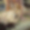 [Babes.com] Kitty Jane ( Lingering looks / 25.01.15) [2015 ., all sex, 1080p] thumb