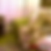 [PegasProductions.com] Christine Sucre [2015 ., all sex, 720p] thumbnail