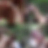 [RawFuckClub.com] Shane Frost and Tate Ryder [2013 ., Anal/Oral Sex, Bareback, Rimming, Muscles, Tattoos, Cumshots, SiteRip] thumbnail