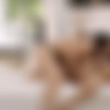 [GirlsWay.com] Dillion Harper, Sinn Sage (Three-Way Mistress: Part One / 27.08.2015) [Brunette, Big Tits, Girl on Girl, Natural Tits, Fingering, Pussy Licking, Facesitting, Tribbing, 1080p, HDRip] thumb