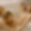 [WowGirls.com] Eva Generosi & Nancy A - Naughty Starlet [2024, Girl/Girl, Lesbian, Blonde, Brunette, Natural Tits, Masturbation, Pussy Licking, Facesitting, Kissing, 1080p] thumb