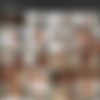 [TrannyHookers.com] - (15 ) [male on shemale, latin, brasilian, argentinian, prostitute, anal, oral, cumshot] (Alejondra, Astrid, Kate, Lumma, Mia Rivers, Mireya, Tamara, Valeria, Yanina) thumbnail