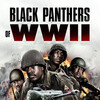Black Panthers of WWII [2025] / 1080p / BluRay / H264 / EAC3 / Subs / MKV / 317 thumb