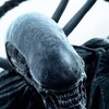 Alien Covenant 2017 2160p UHD BluRay TrueHD Atmos 7 1 HDR x265-j3rico thumb