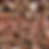 Loren Minardi MegaPACK thumbnail