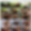 [BigWetButts.com / Brazzers.com] Joslyn James (Juicy Joslyn / 15.02.13) [2013 ., Anal, Big Tits, Blonde, Oil, Creampie, Gonzo, MILF] thumb