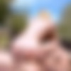 [BigWetButts.com / Brazzers.com] Alina West (Anal Twist and Shout! / 02.08.15) [2015 ., Anal,Natural Tits,Bubble Butt,Blonde,Oil,Ass Worship, 1080p] thumb