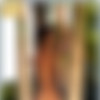 [photodromm.com] photodromm.com 2018-12 [Big Tits, Solo, Posing, Glamour, Softcore] [2000x3000, 698 , 15 ] thumbnail