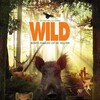 Wild 2018 DUTCH 1080p BluRay x264-HDEX thumb