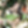 [Franks-TGirlWorld.com] Nathany Gomes (03.10.2013) [Transsex, Shemale, Solo, Posing, Big Cock, Boobs, Masturbation, Cumshot, SiteRip, 720p] thumb
