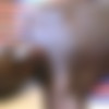 [80Gays.com] Eric & Chui [black, african, teen, twink, bareback, anal, oral, facial cumshot, kissing, 720p] thumb