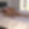 [Nubiles.net] Aidra Fox (Bedroom Eyes / 02.07.14) [2014 ., Solo, Toys, 1080p] thumb