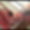[Megasite.meanworld.com] • (330) Full SiteRip as of February 14, 2026 [part 14 of 15 • All LowRes Video-1 • ] [Femdom, Anilingus, Rimming, Facesitting, Cunilingus, Mistress, MILF, Slave, Foot Worship, Ass Worship, Big Tits, Big Ass, Anus, Close Up • 720, 1080p and low resolution various] thumbnail
