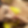 [LadyboysHeaven.com] Ladyboys Heaven Feat. Neth (11.07.14) [2014 ., Ladyboy, Transsexual, Hardcore, Anal, Bareback, 1080p, SiteRip] thumb