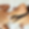 [LadyBoyGold.com] Poy / Pink Bikini, Toy & Versatile Creampie (12 Mar 2019) [2019 ., Asian, Ladyboy , Shemale On Male, Anal, Hardcore, Bareback, POV, Flip-Flop, Dildo, 720p, SiteRip] thumb