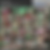 [ThirdWorldShemales.com] Yuri / Her tiny ball bag and Thai tulip dangle between her legs [(20th June 2013)., Tranny, Shemale, Asian, Ladyboy, Toys, Bareback, Anal, Oral, Cumshot, 720p, SiteRip] thumbnail