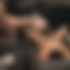 [Onlyfans.com] Tiff Bannister, redheadwinter, Bronwin Aurora, Coco Star, just-wingit - Movie theater orgy [2023-05-18, Amateur, Cumshot, Dildo, Facial, Girl/Girl, Group Sex, Orgy, Strapon, Toys, 480p, SiteRip] thumb