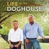 Life in the Doghouse 2018 1080p BluRay x264-OFT thumb