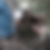 [Peeing-outdoors.com](6 ) /   [2014 ., Peeing, CamRip 720p] thumbnail