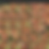 [ALSAngels.com] -  F - Fisting -  2009-08-31 - (4) [ 694px  3004px]  (x2) [HDV,  480px  1280px] thumbnail