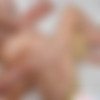 NaughtyAmericaVR - PSE - Annaleigh Reno (2025.07.07) (Oculus 8K) thumb