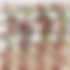 [LadyBoyGold.com] Kitty / Kitty Fitness Bareback 09 Jan 2018 [2018 ., Ladyboy, Transsexual, Bareback, Blowjob, Cumshots, Handjob, Hardcore, Lingerie, POV, Anal, 720p, SiteRip] thumb