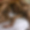 [WildShemaleOrgies.com] Champagne Craziness 2 /   2 () [2009 ., (Shemale/Trans), SiteRip, 720p] thumbnail