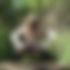 [Pisswc.com / tualet.net ]        -   pisswc   Pisshunters.com [2003-2013 ., Voyeur, Peeing, 720p, 576p, 540p, SiteRip] thumbnail