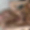 [SeanCody.com] SC-2251 Frankie & Sean: Bareback [2017 ., Anal Sex, Bareback, Big Dicks, Blowjob, Cumshots, Facial, Kissing, Masturbation, Muscles, Tattoos, Uncut., 720p] thumb