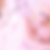 [TGirls.xxx] Sarina Valentina / Sarina Valentina Returns! (25 Dec 2017) [2017 ., Shemale, Solo, 720p, SiteRip] thumb