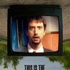 This Is the Tom Green Documentary [2025] / 720p / WEB / H264 / EAC3 / Subs / MKV / Kitsune thumb